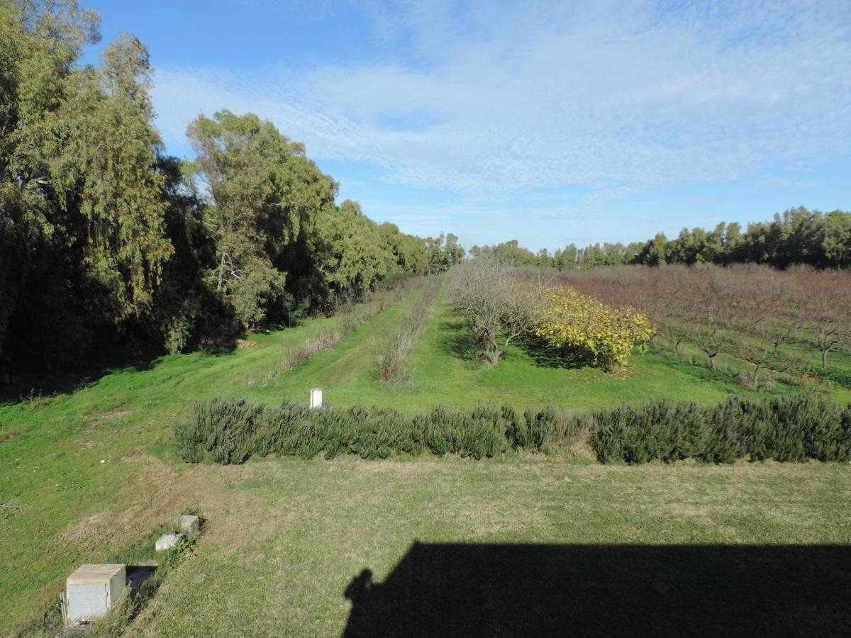Agriturismo I Doni Del Mandorlo Alghero Exteriör bild