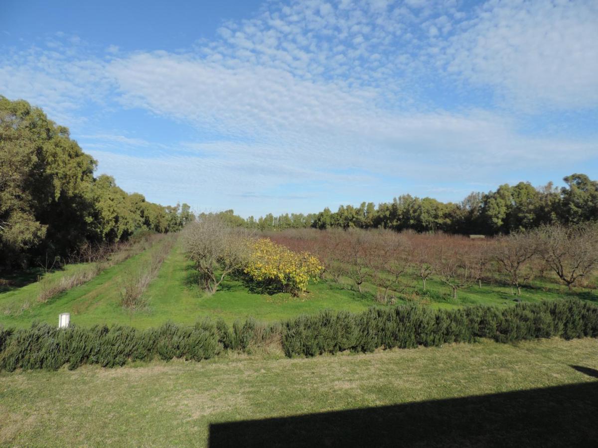 Agriturismo I Doni Del Mandorlo Alghero Exteriör bild